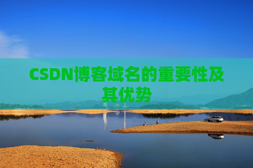 CSDN博客域名的重要性及其优势